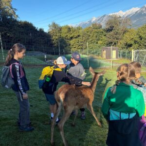 Wandertag der 4b zur Wildtierfütterung in Kolsass